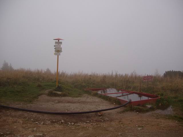 099.JPG