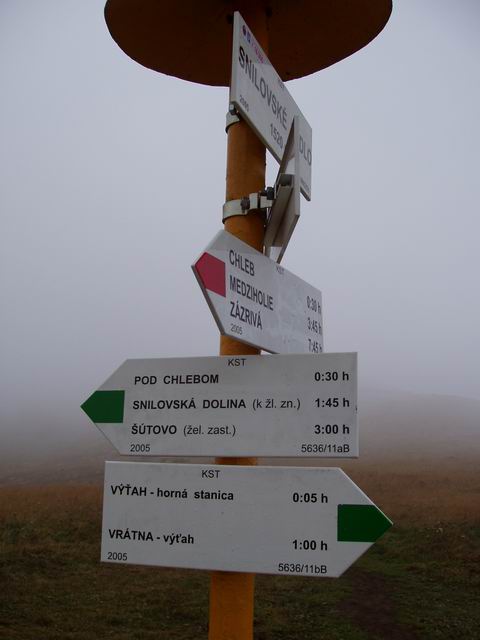 105.JPG