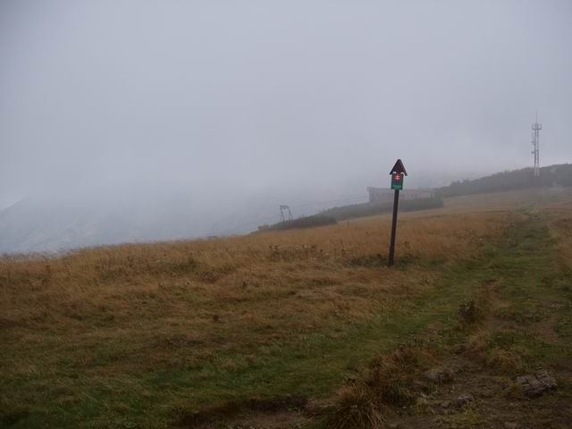 106.JPG