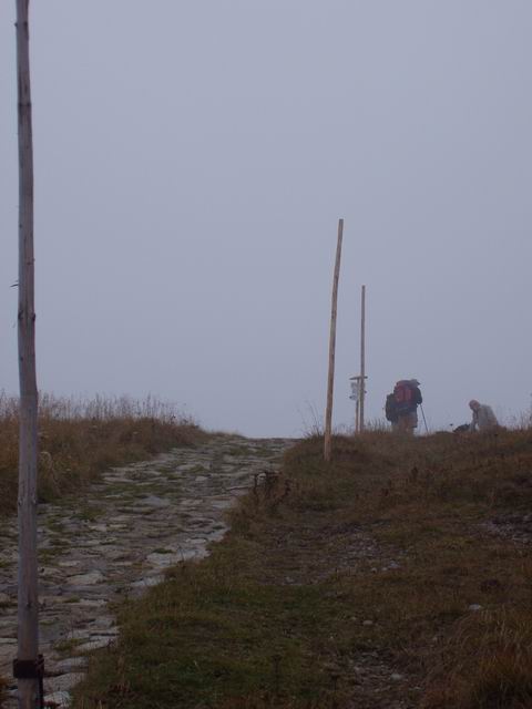 110.JPG