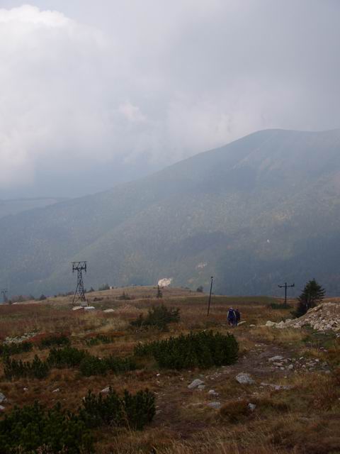 111.JPG