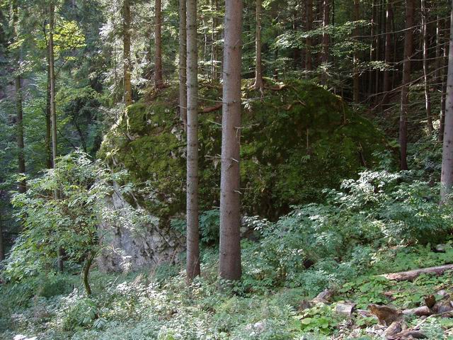 114.JPG