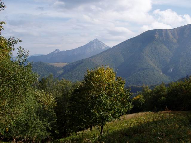 115.JPG