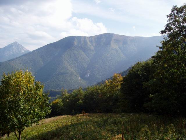 116.JPG