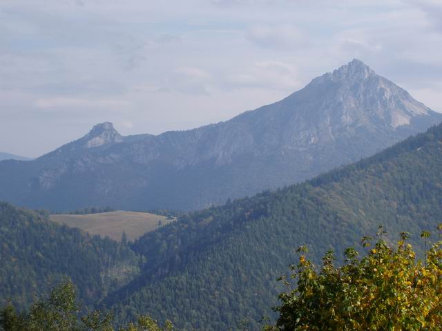 117.JPG