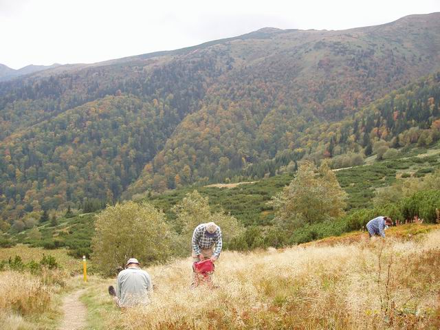 128.JPG