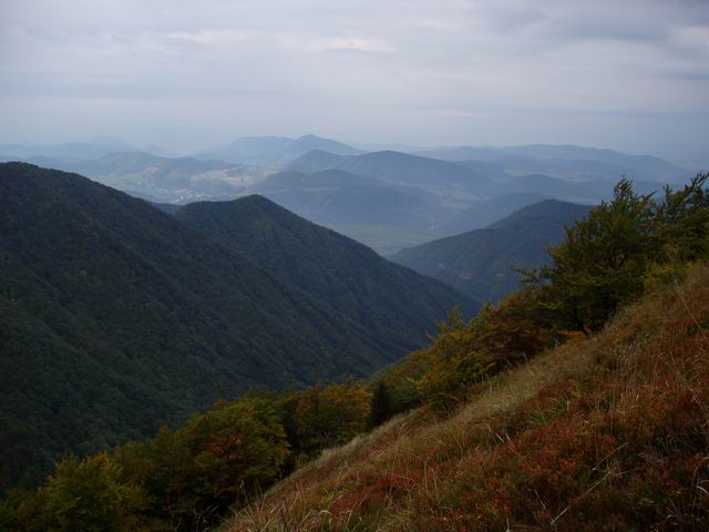 130.JPG