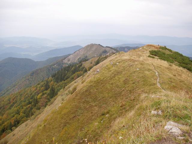 137.JPG