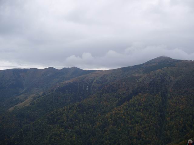 138.JPG