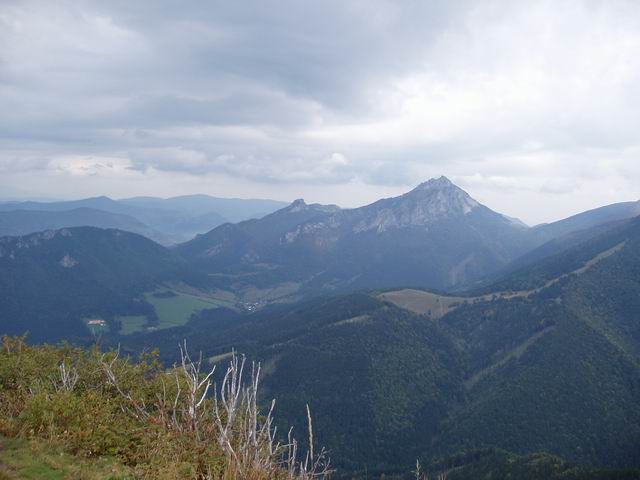 139.JPG