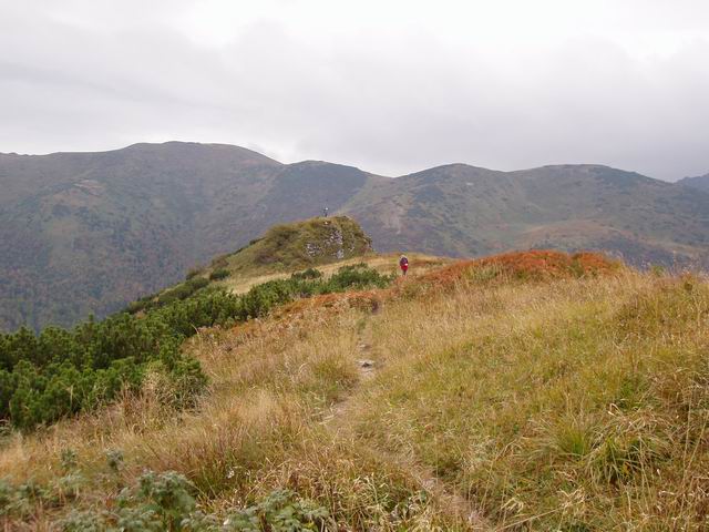 140.JPG
