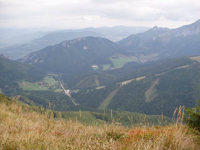 142.JPG