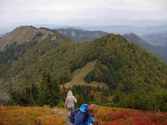 146.JPG