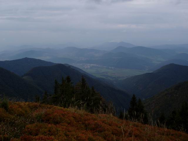 147.JPG