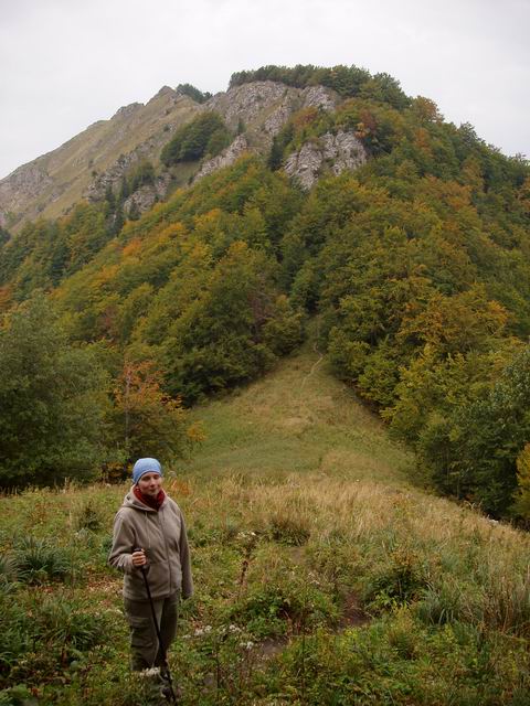 154.JPG