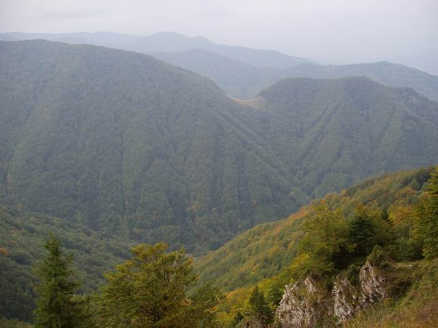 159.JPG