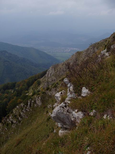 160.JPG