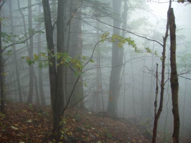 164.JPG