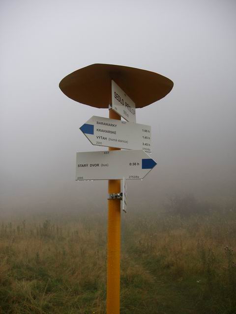 165.JPG