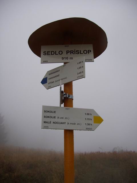 166.JPG