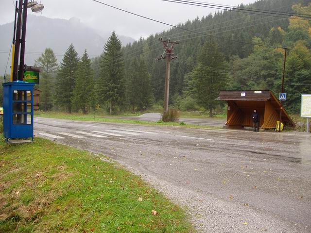 174.JPG