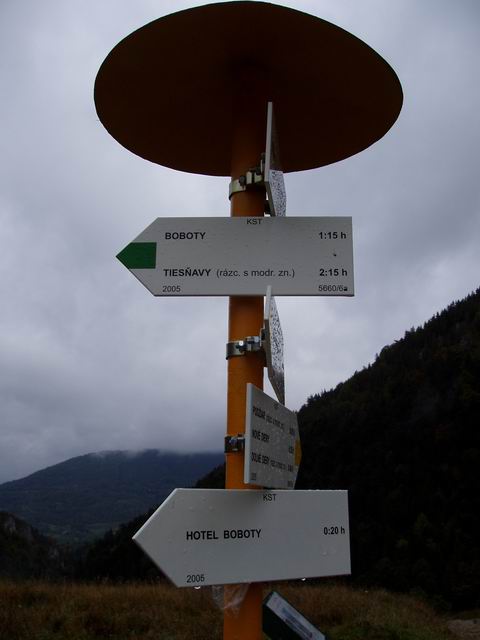 194.JPG