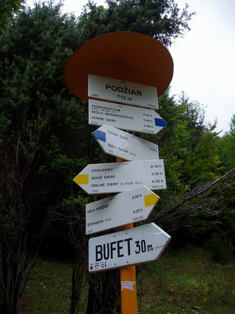 201.JPG