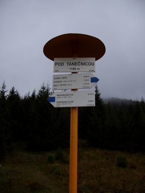 252.JPG