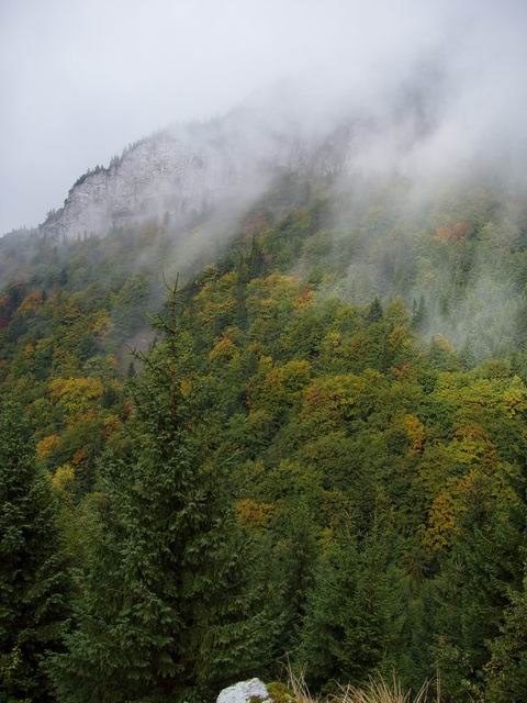 253.JPG