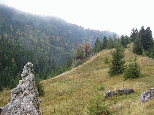 255.JPG