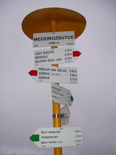 260.JPG