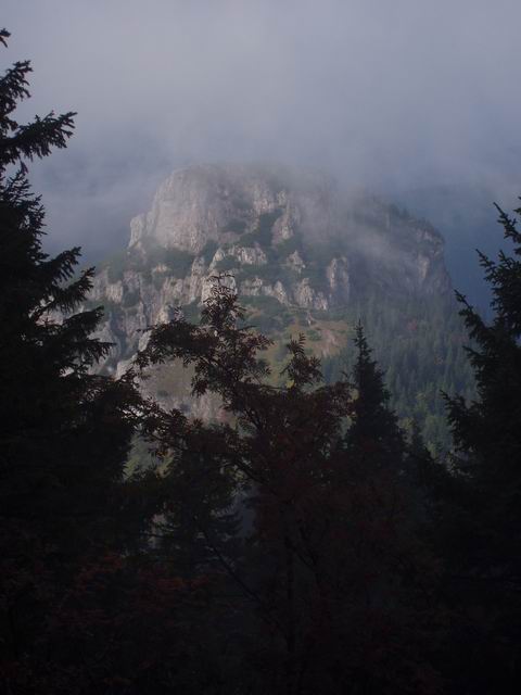 272.JPG