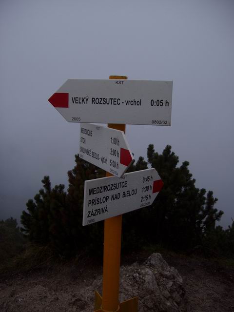 284.JPG