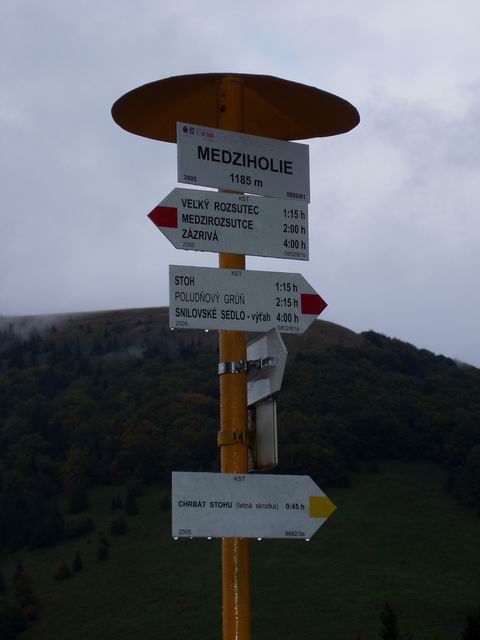 292.JPG