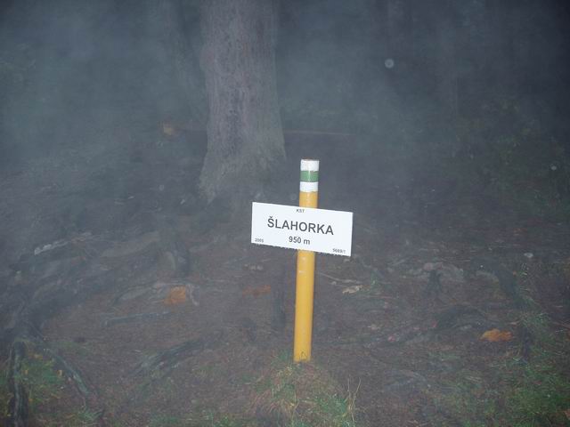 296.JPG