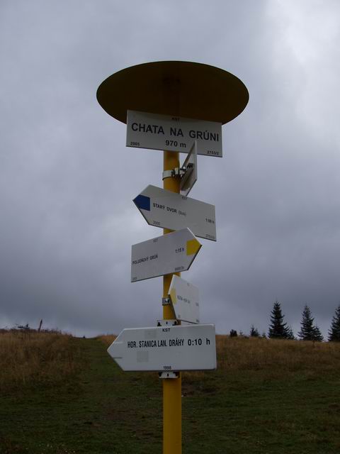 309.JPG