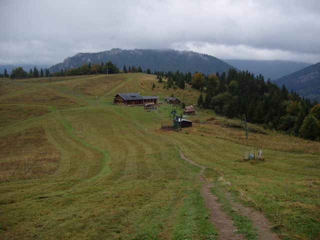 313.JPG