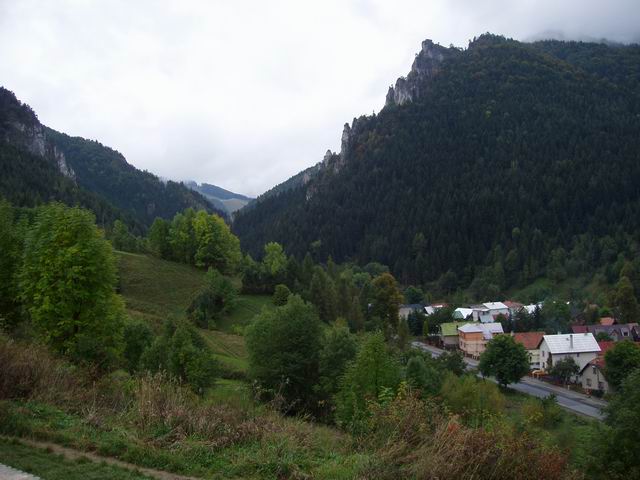 320.JPG