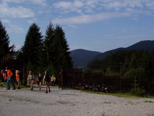 335.JPG