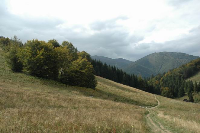 DSC_5575.JPG