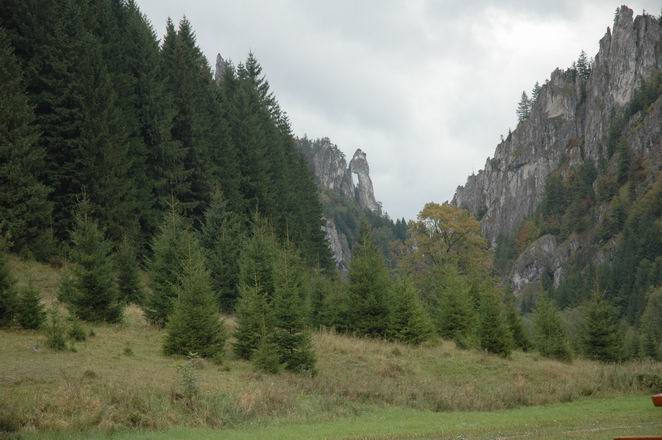 DSC_5650.JPG