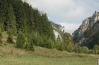 DSC_5828_.JPG