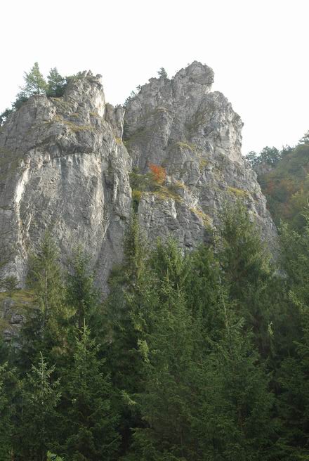DSC_5845.JPG