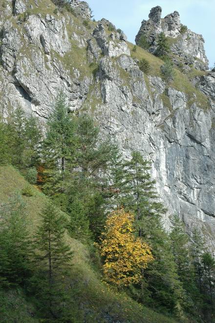 DSC_5848.JPG