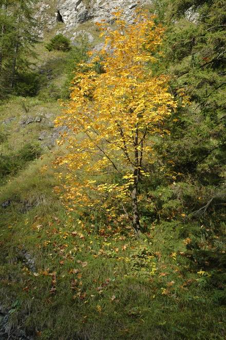 DSC_5852.JPG