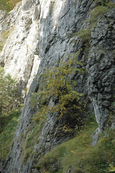 DSC_5855.JPG